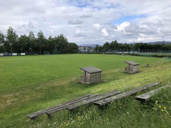 Sandved gress - Sandnes