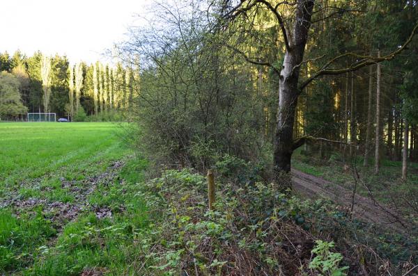 Sportplatz am Hünkhovener Kreuz   - Bad Münstereifel-Rupperath