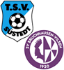 Wappen SG Süstedt II / Bruchhausen-Vilsen III (Ground B)