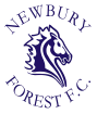 Wappen Newbury Forest FC  83566