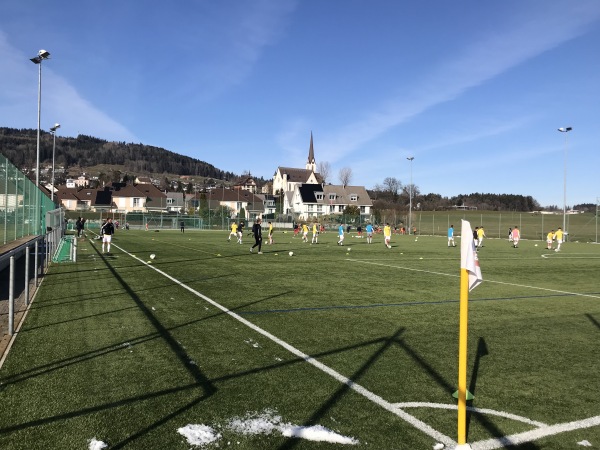 Sportplatz Spiserwies Kunstrasenplatz - Abtwil