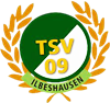 Wappen TSV 1909 Ilbeshausen diverse  78311
