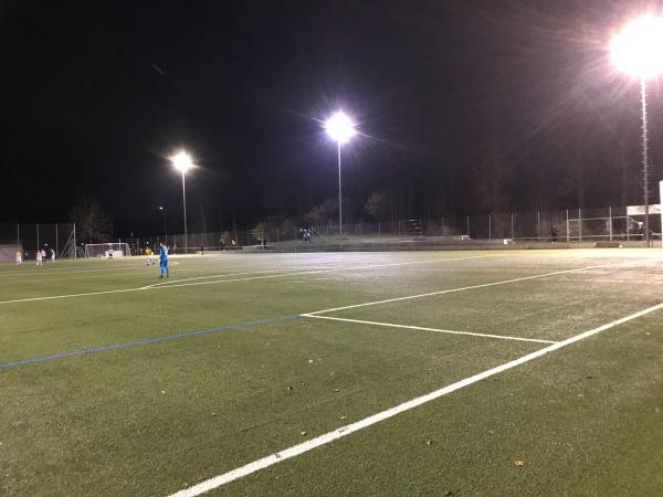 Sportplatz Rossmoos - Emmen