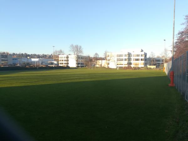 Sportplatz Eisweiher Platz 3 - Oberwil