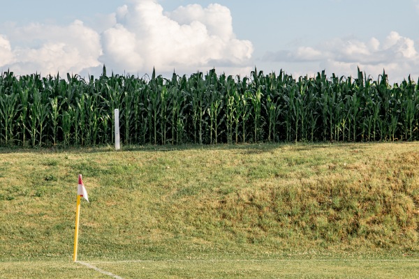 Sportplatz am Wald 2 - Droyßig