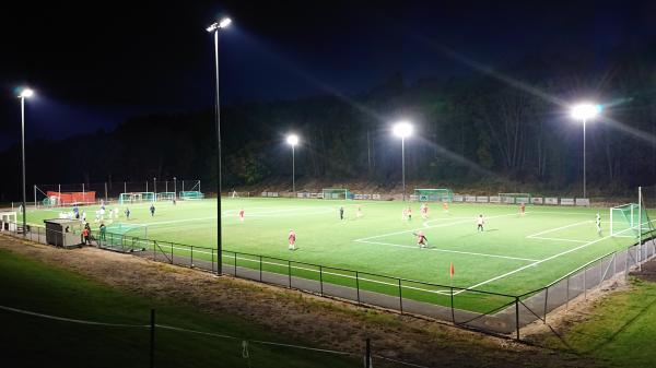 Kråkerøy stadion - Kråkerøy