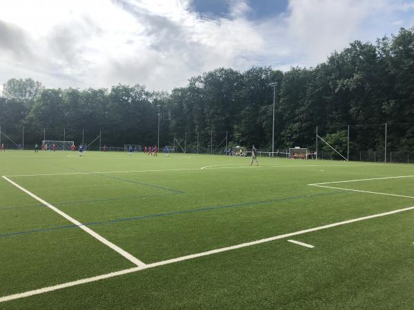 Waldstadion Nebenplatz - Lorsch