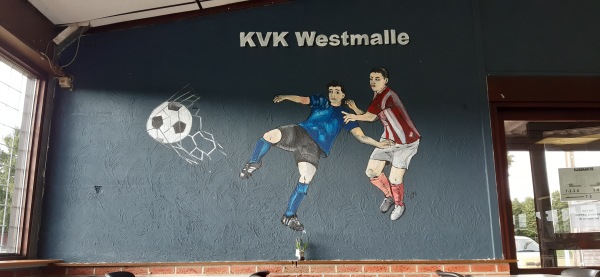 Eddy De Peuter Stadion - Malle-Westmalle