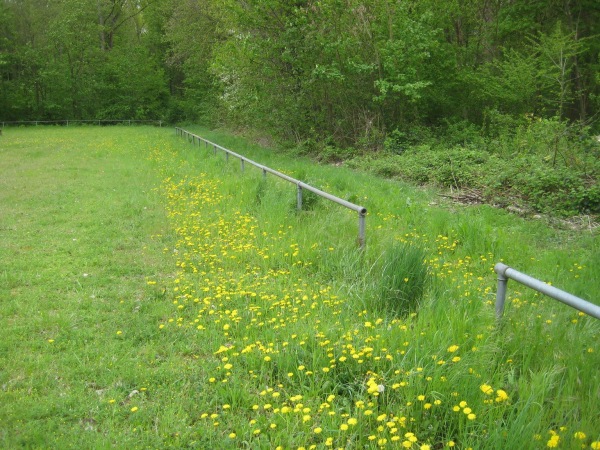 Sportplatz Rosengarten - Lampertheim