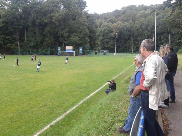 Sportplatz Plexgrund - Lichtentanne-Schönfels