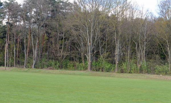 Sportanlage im Suttorf B-Platz - Neustadt/Rübenberge-Suttorf