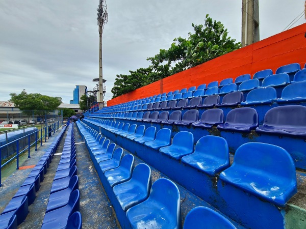 Estadio Ricardo Gregor - Asunción