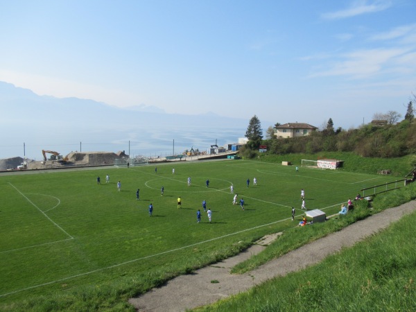 Stade des Ruvines - Cully