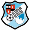 Wappen SG Schlern diverse