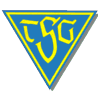 Wappen TSG Dülmen 1919  8928