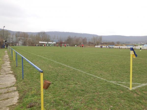 Sportplatz Bisonstraße - Springe
