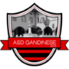 Wappen ASD Gandinese 2015