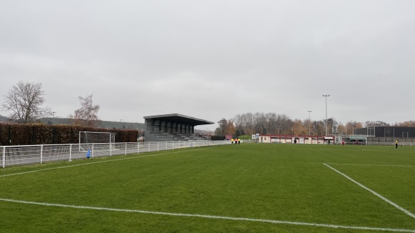 Stade de la Vielle Usine - Stiring-Wendel