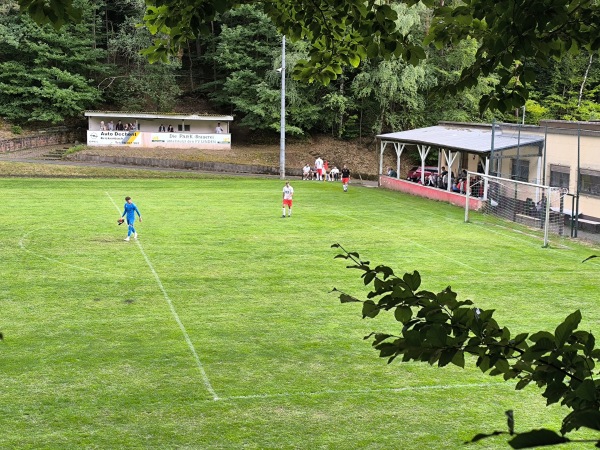 Sportanlage Untere Delle - Linden/Pfalz