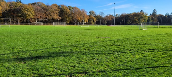 Catawiki Sportpark veld 7 - Assen