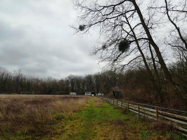 Sportplatz Swisterberg - Weilerswist