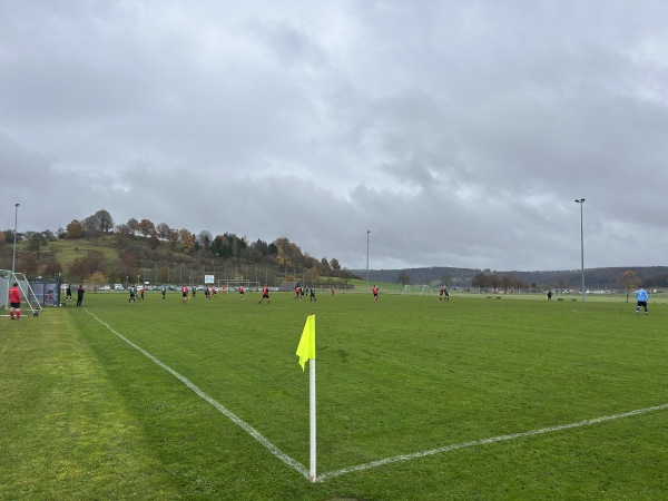 Sportgelände Jahnstraße Platz 2 - Steinheim/Albuch