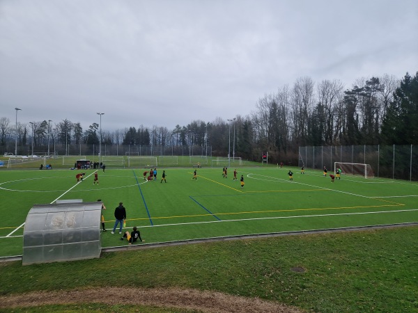 Sportanlage Peterswinkel Platz 3 - Lachen SZ