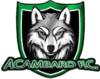 Wappen Acámbaro FC