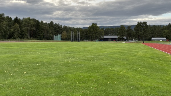Øverlands Minde gress - Stjørdal
