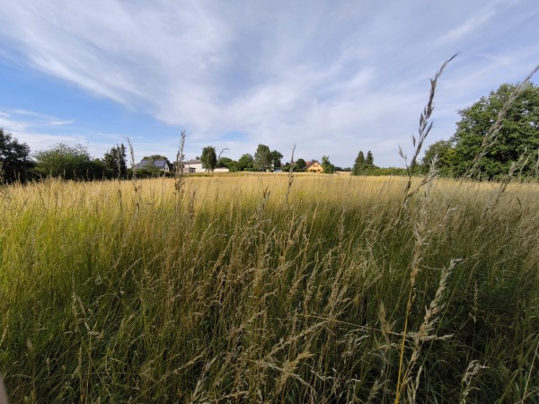 Sportplatz Anschau - Anschau
