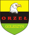 Wappen LKS Orzeł Goleszyn