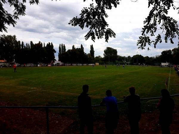 Sportplatz an der Zuckerfabrik - Osternienburger Land-Wulfen