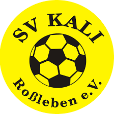 Wappen SV Kali Roßleben 1991 diverse
