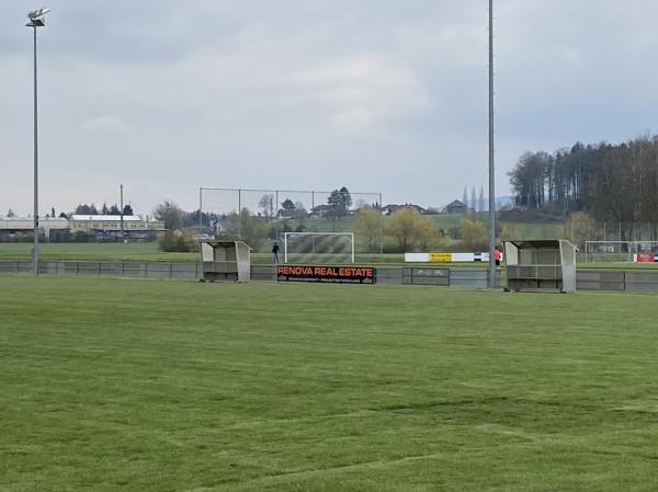 Sportplatz Bühlmoos Nebenplatz - Sarmenstorf