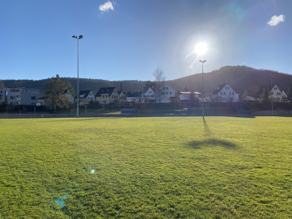 Sportanlage Mehrzweck- und Sporthalle - Gelterkinden