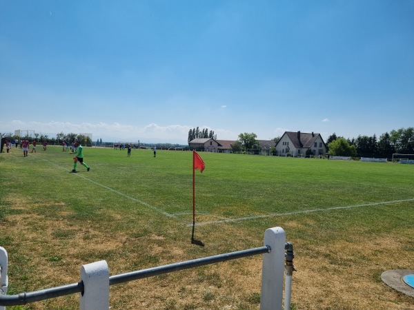 Stade des Vignerons - Pfaffenheim