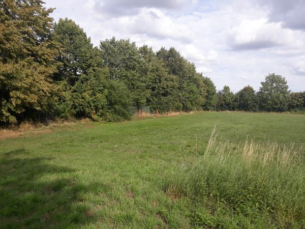Sportplatz Bruchtor - Hecklingen-Groß Börnecke 