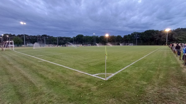 Kattenstadion Terrein 2 - Meerhout