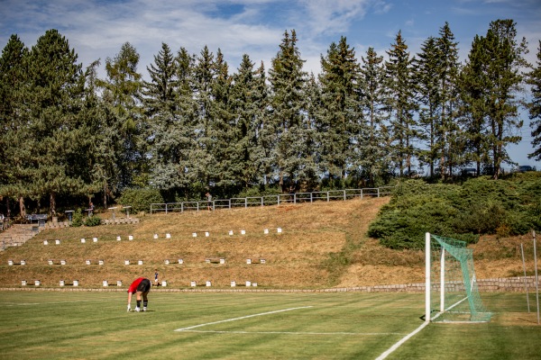 Waldstadion - Reinsdorf/Sachsen-Vielau