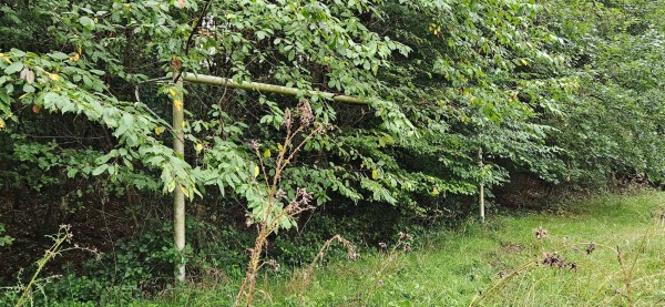 Waldsportplatz - Kurtscheid