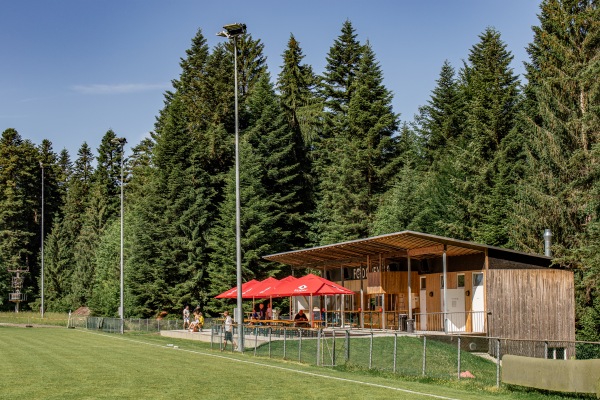Waldstadion - Doren