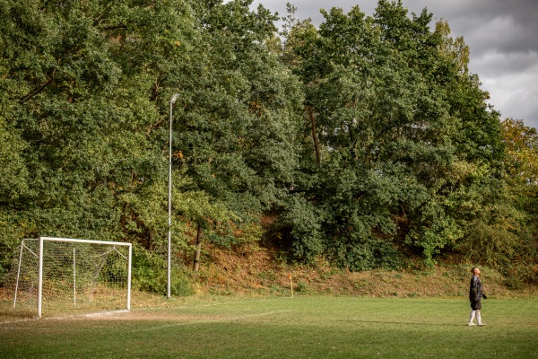 Sportanlage Walter-Hultsch-Heim - Pirna-Hinterjessen