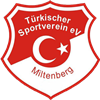 Wappen Türkischer FV Miltenberg 1984