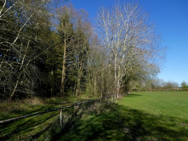 Waldsportplatz - Retschow