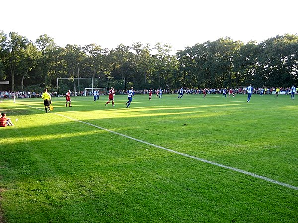 Waldstadion - Salzwedel-Liesten
