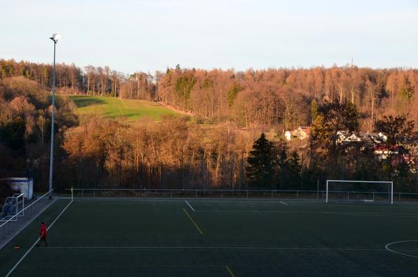 Sportgelände am Dormeswald Platz 2 - Goldbach/Unterfranken