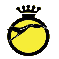 Wappen RVV Swift Boys