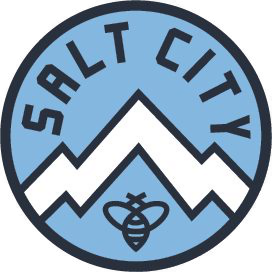 Wappen Salt City SC  106022