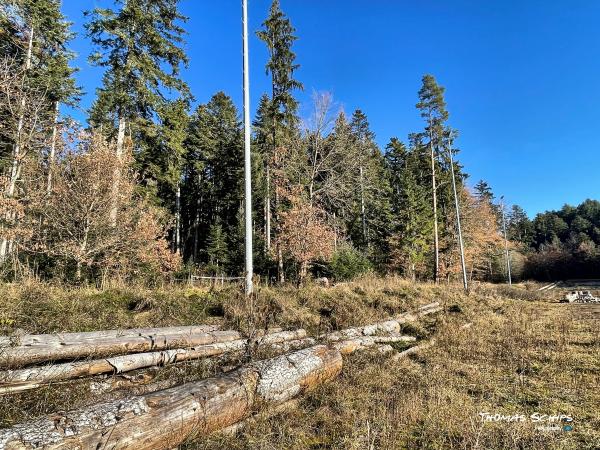 Sportplatz Eichenwasen - Denkingen