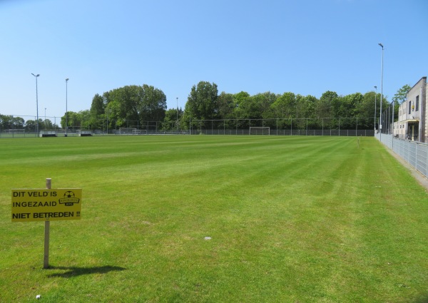 Sportpark Middelmors veld 2 - Rijnsburg